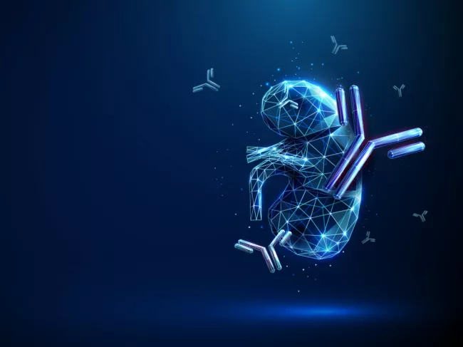 Illustration of antibodies flying around a kidney