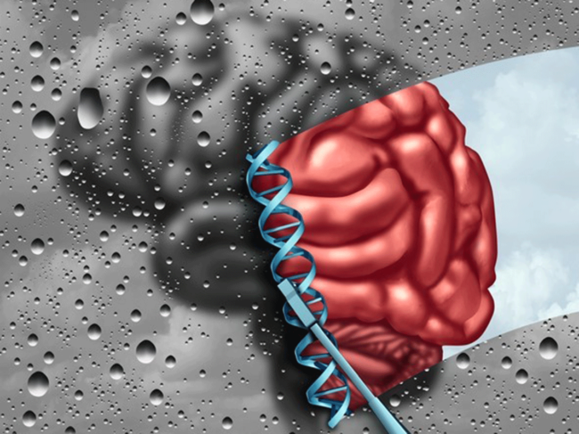 Brain-DNA illustration
