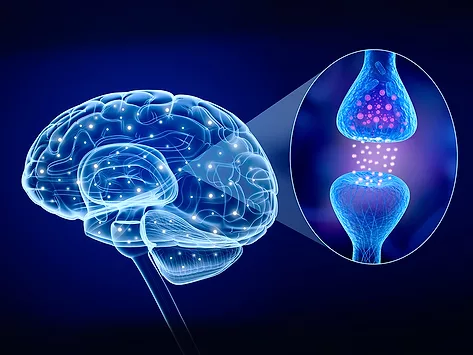 Illustration of brain with neuron receptor