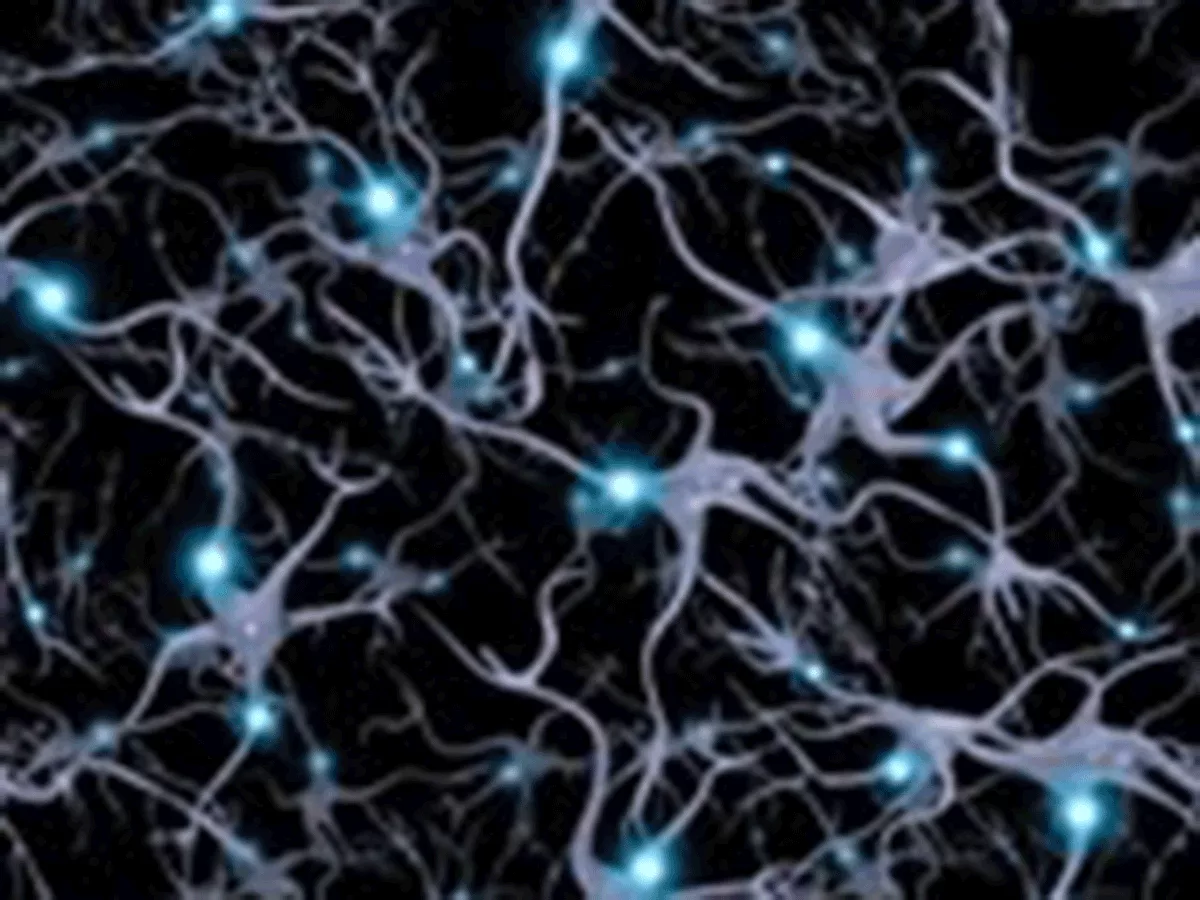 Neurons
