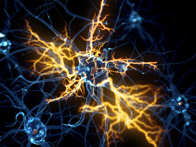 3D illustration of a nerve cell