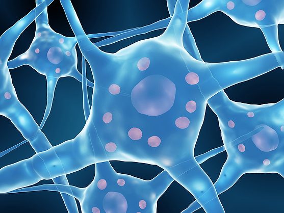 glp 1 parkinson's disease and neuroprotection Dual activation of GLP-1 and GIP receptors confers neuroprotection in  Parkinson's models