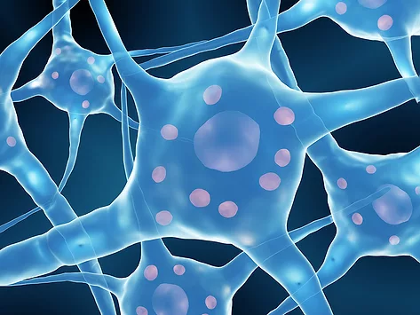 Neuron lewy bodies parkinsons