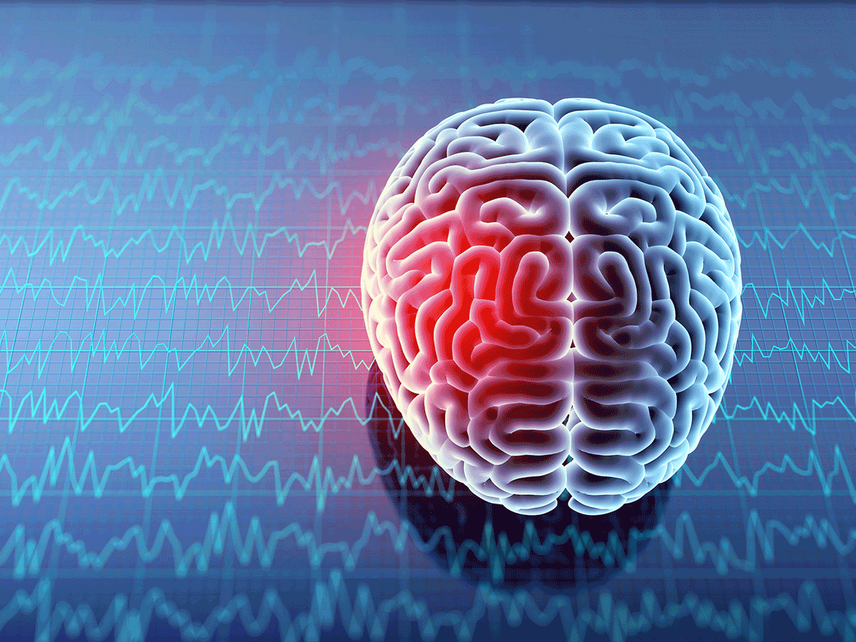 Brain and brain waves