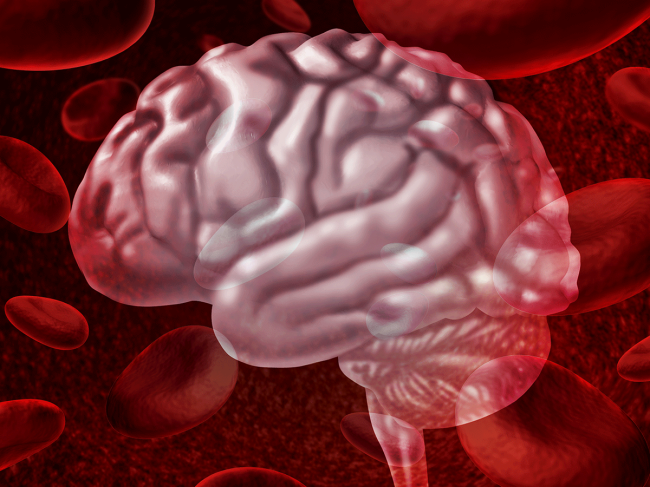 Brain and blood cells