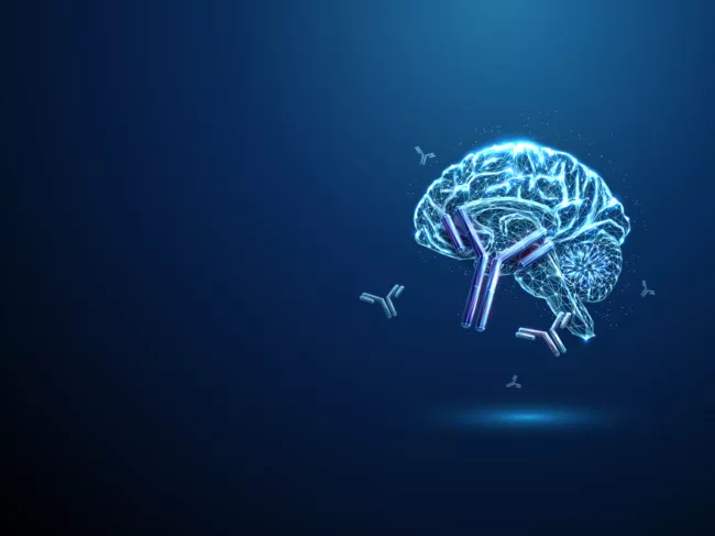 Illustration of brain and antibodies