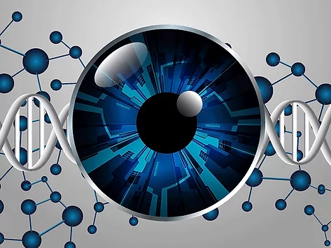 Eya and dna illustration