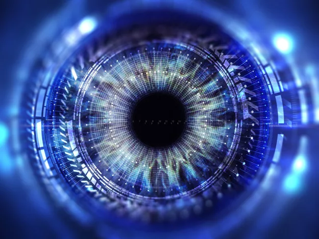 Eye with digital overlay