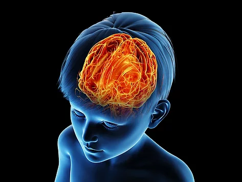 Neurology pediatric child brain 3d