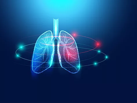 Lungs wireframe illustration