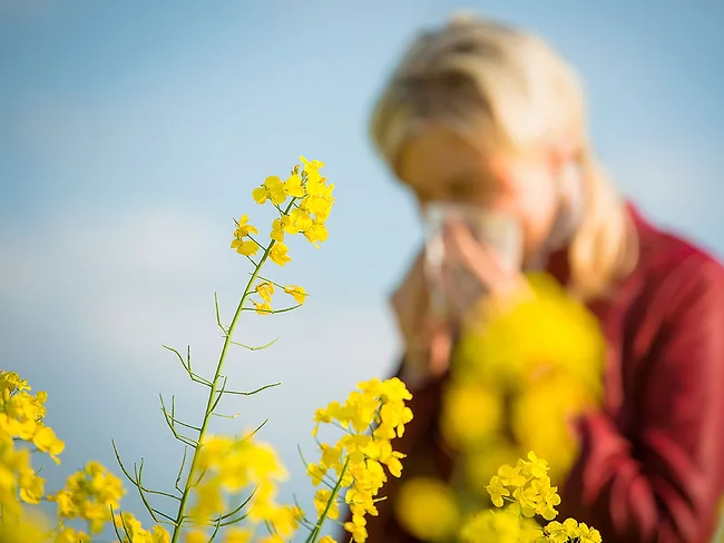 Woman holding tissue to nose with plants, pollen