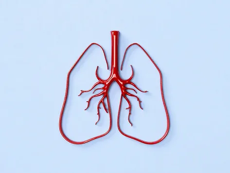 Red lungs on blue background