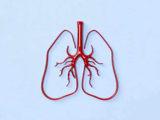 Red lungs on blue background