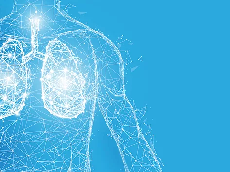 Respiratory lungs wireframe