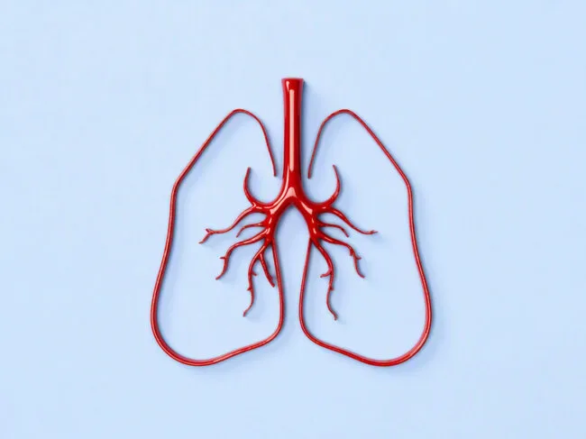 Red lungs on blue background
