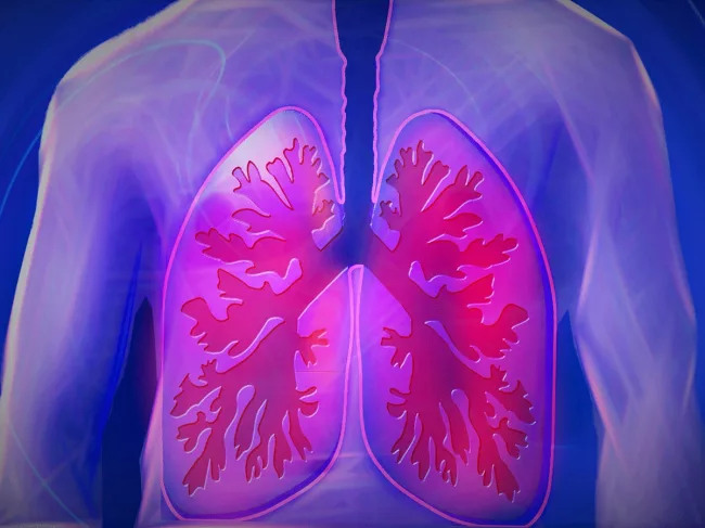 respiratory-lung.png