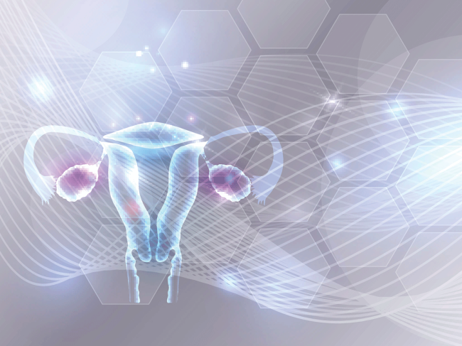 women-gyno-uterus-ovary