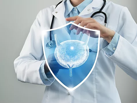 Bladder urology shield doctor