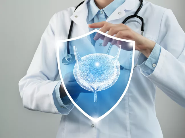 Doctor holding shield and virtual visualization of bladder organ