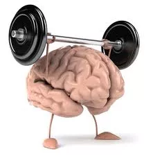 brainweights